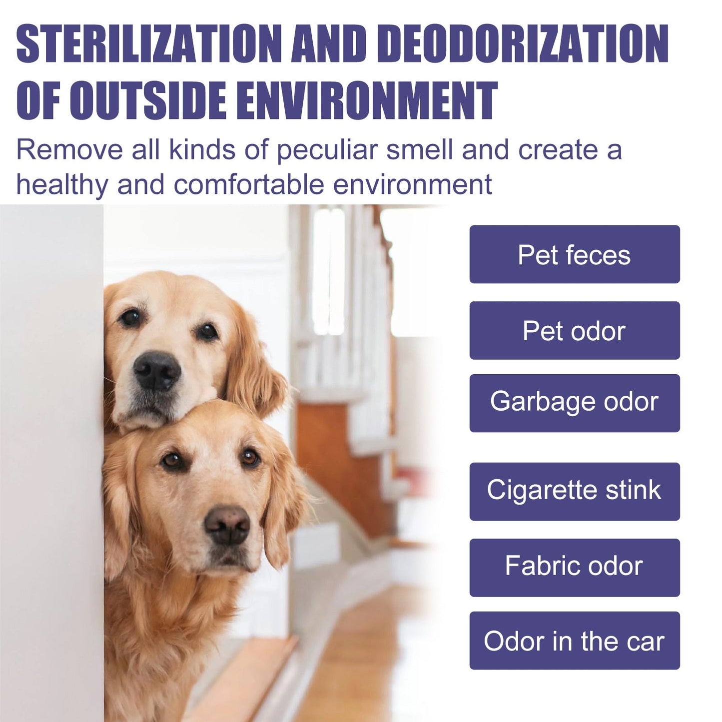Pet Deodorant Spray for Cats and Dogs - Eliminates Odors, Urine Smell, Body Odor, and Feces Odor, Air Freshener Mist - Korvel