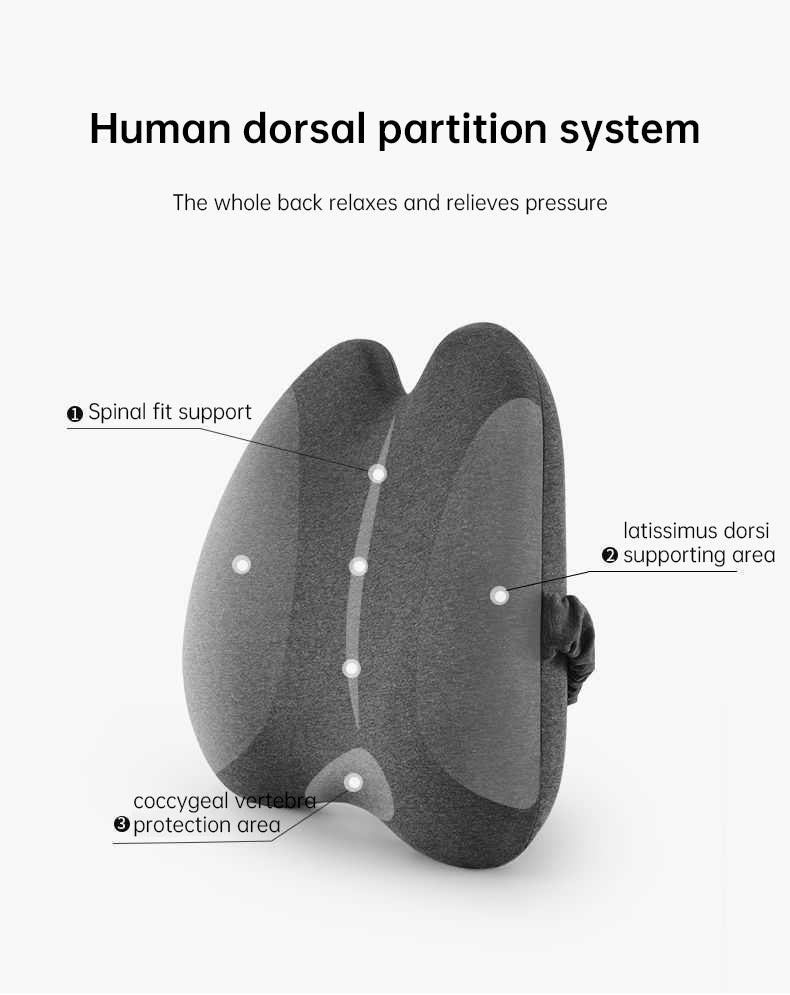 Lab Extra Dense Lumbar Pillow - Ergonomic Back Support Cushion