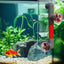 4-Blade Auto-Rotating Fan Kit for Fish Tanks - Clover Accessories