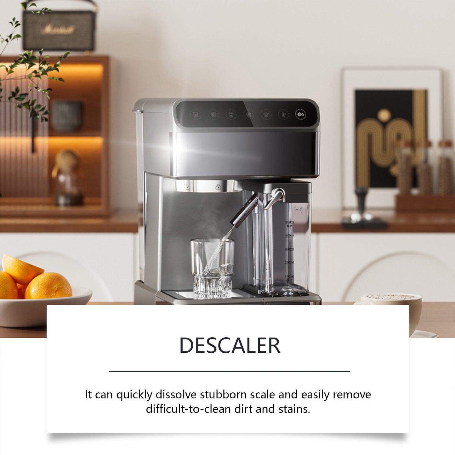 Premium Descaling Cleaning Tablets for Home Use