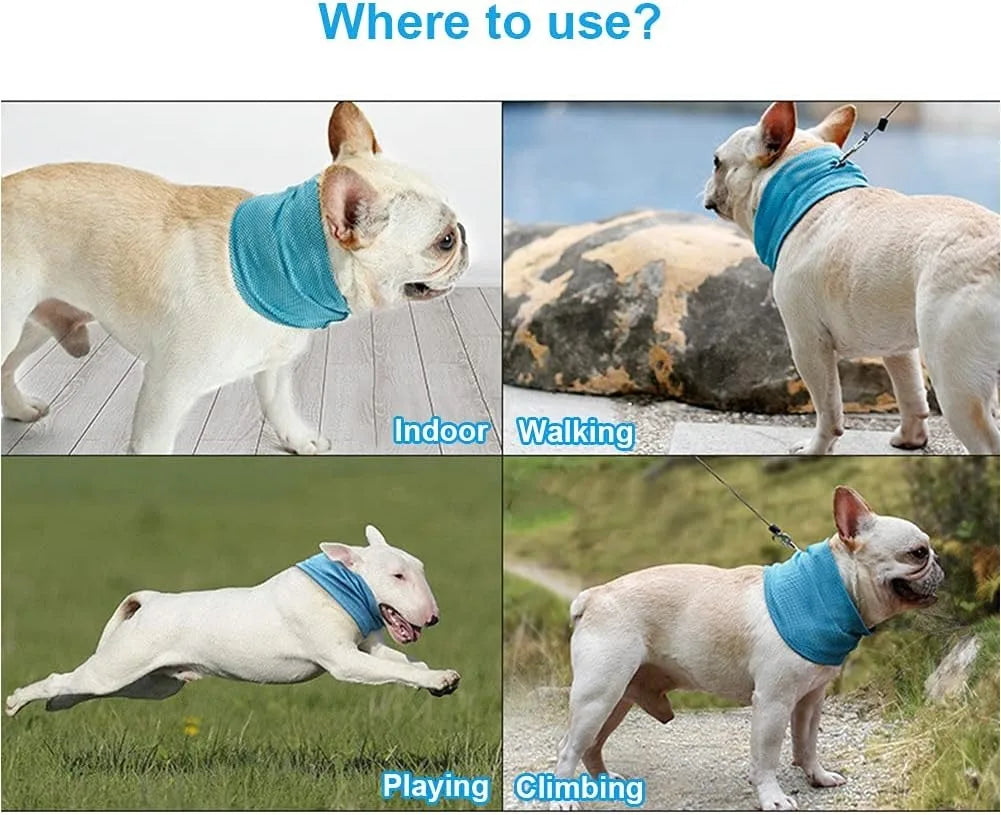 Dog Cooling Bandana Ice Pet Cooling Collar for Hiking Traveling Pet Supplies - Korvel