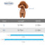 GBruno 12-Color Personalized Puppy ID Collars