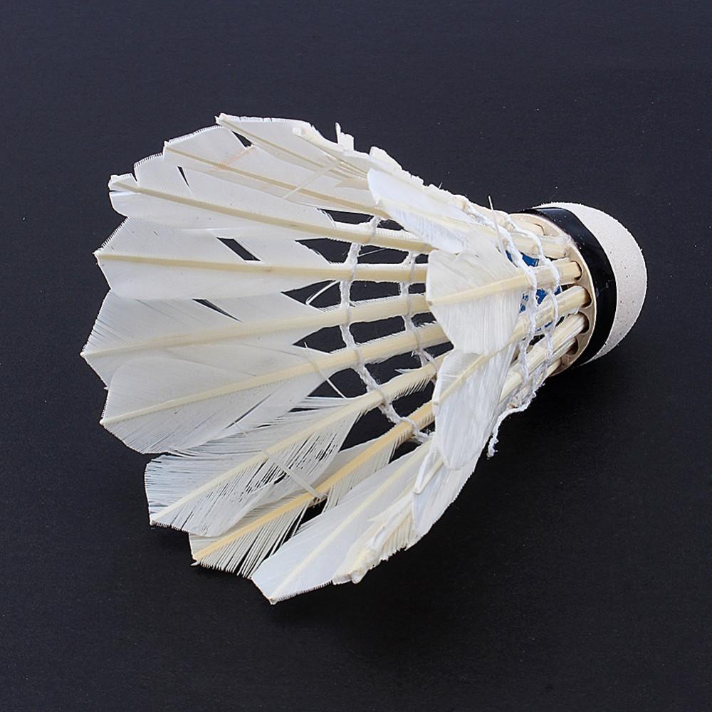 Shuttlecocks de pluma premium - Paquete de 12