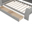 Elegant Twin Size Daybed with Shelves and Charging Station - Gray