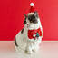 Ensemble de Costume Festif pour Animaux de Compagnie pour Célébrations de Noël