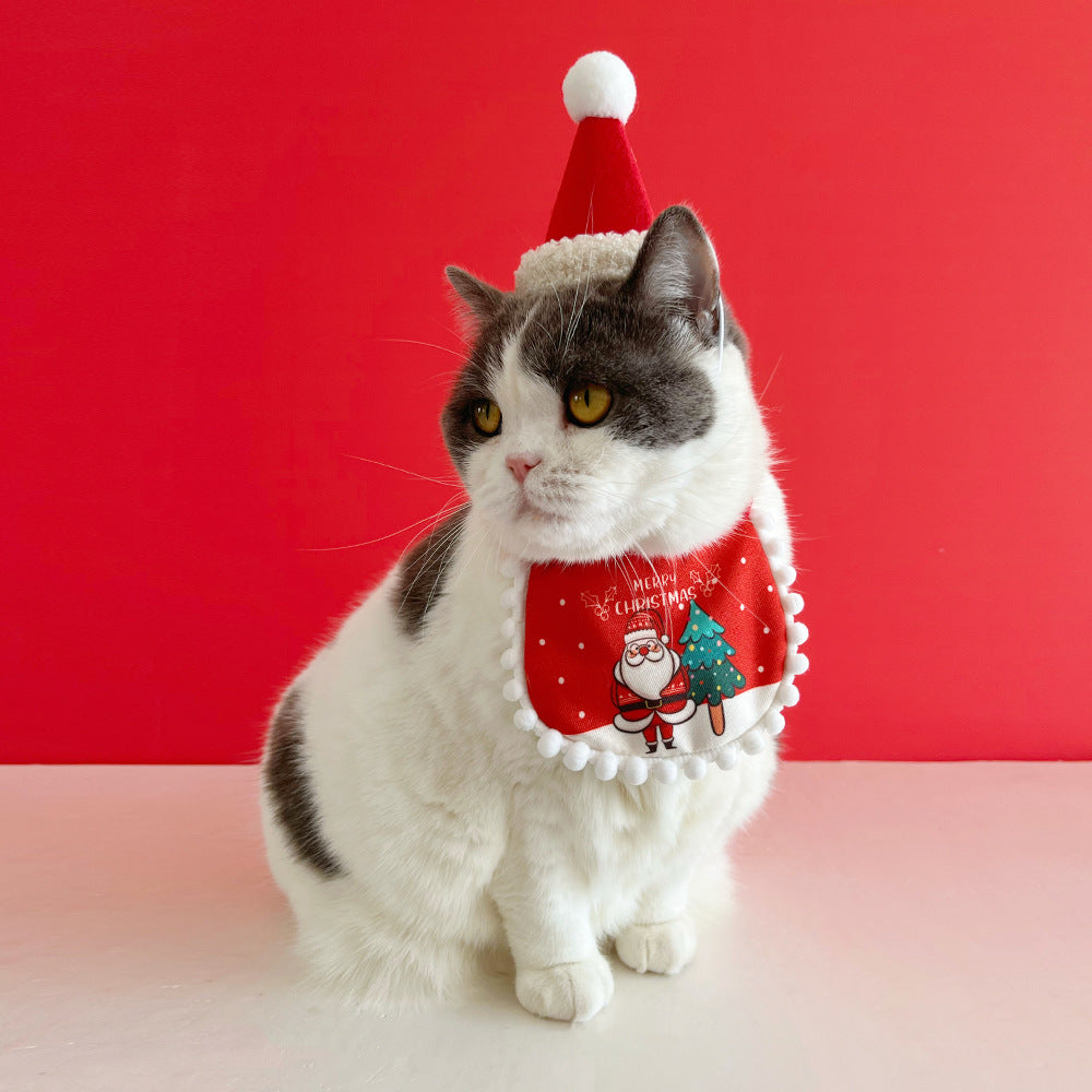 Ensemble de Costume Festif pour Animaux de Compagnie pour Célébrations de Noël