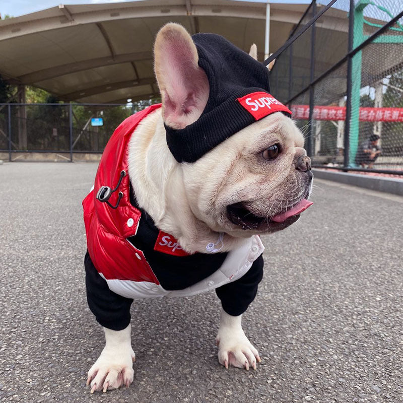 Trendy Pet Hoodie Set for Stylish Dogs
