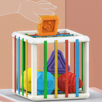 Montessori Geometric Shape Blocks for Infants