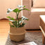 Scandinavian Style Wicker Handbasket Flower Pot Rattan Weave Plant Grass Woven Floor Folding Wicker Basket Weaving - Korvel