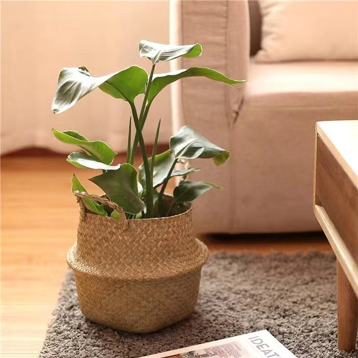 Scandinavian Style Wicker Handbasket Flower Pot Rattan Weave Plant Grass Woven Floor Folding Wicker Basket Weaving - Korvel