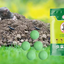 10 Boules Répulsives à Souris à la Menthe Poivrée - Solution Écologique