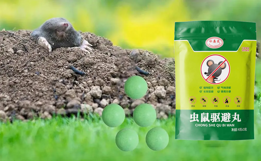 10 Boules Répulsives à Souris à la Menthe Poivrée - Solution Écologique