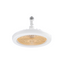 E27 Fan Light Shaking Head Electric Fan Remote Control Bedroom Living Room Dimmable Home Ceiling Fan Light - Korvel