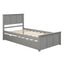Cama Plataforma Gris con Estructura de Cama Trundle de Tamaño Individual
