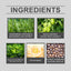 Rosemary Hair Care Essential Oil, Hydrating And Moisturizing Daily Gentle Hair Care Oil - Korvel