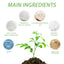 Plant Nutrient, Flower Pot Lawn Green Leaf Plant Fertilizer Root Growth Nutrient - Korvel