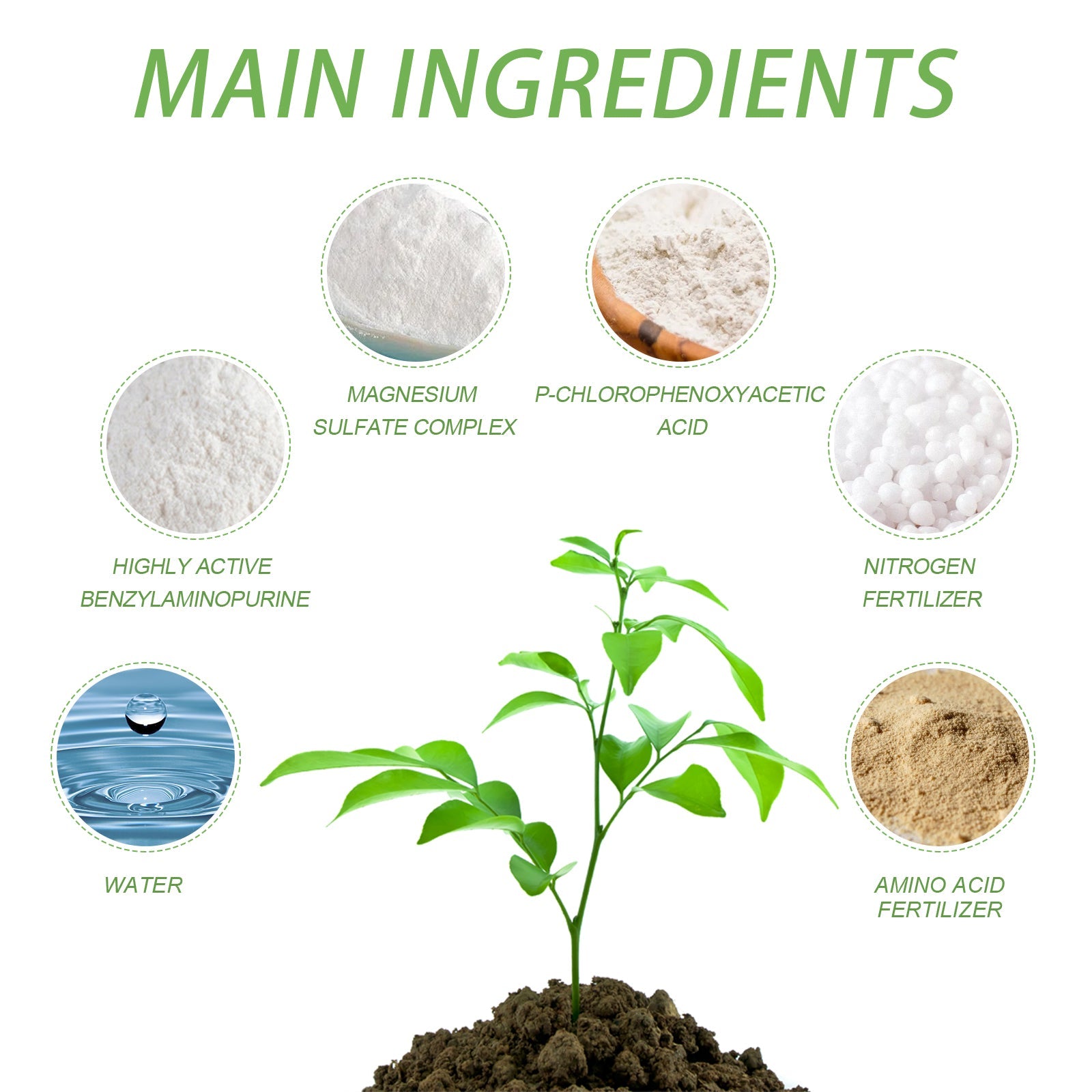 Plant Nutrient, Flower Pot Lawn Green Leaf Plant Fertilizer Root Growth Nutrient - Korvel