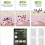 DetoxSoothe Foot Pads - Korvel