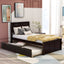 Platform Bed with Twin Size Trundle, Twin Size Frame, Espresso - Korvel