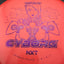 Driver de Disc Golf Gateway NXT Cyborg