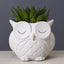 Maceta de Cerámica con Diseño de Animal - Decoración Creativa para el Escritorio
