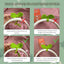 Cute Knitted Crochet Leaf Sprout - Multi-Functional Accessory