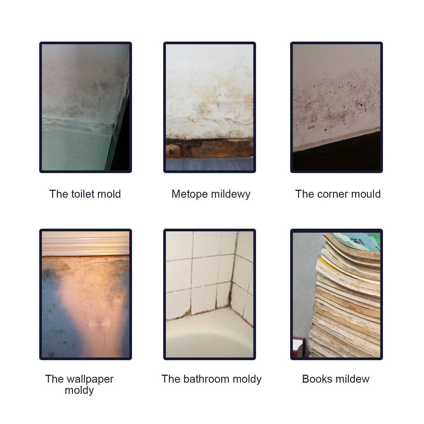 Mold Remover Spray, Ceiling Bathroom Tile Wall Multi-Effect Cleaning Decontamination And Mildew Removal Spray - Korvel