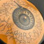 Halo Star Rollo - Eye-Fly RAD V2 Disc Golf Midrange