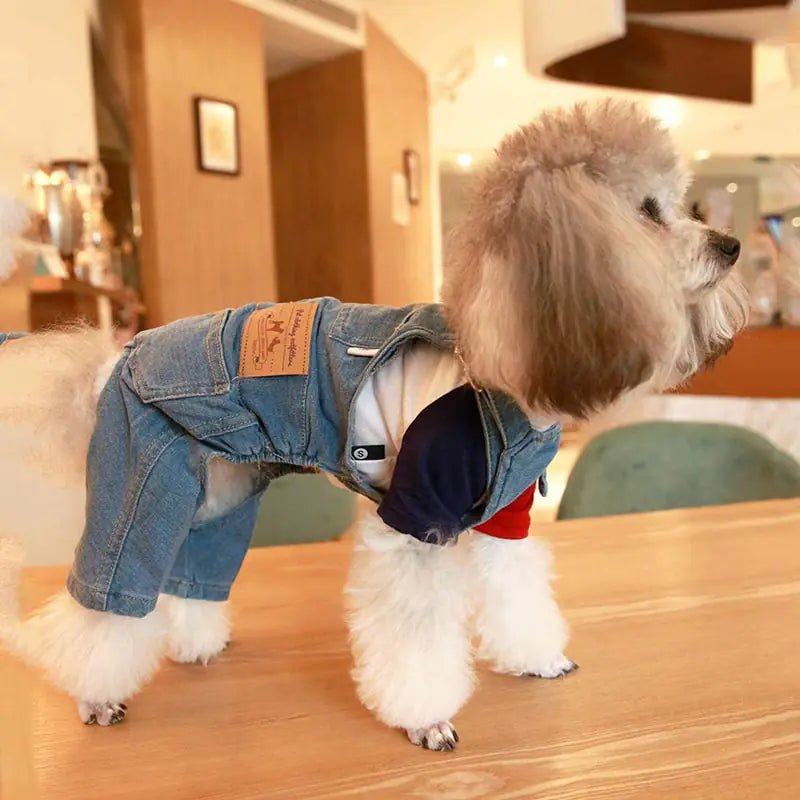 Chic Denim Jumpsuits for Stylish Dogs