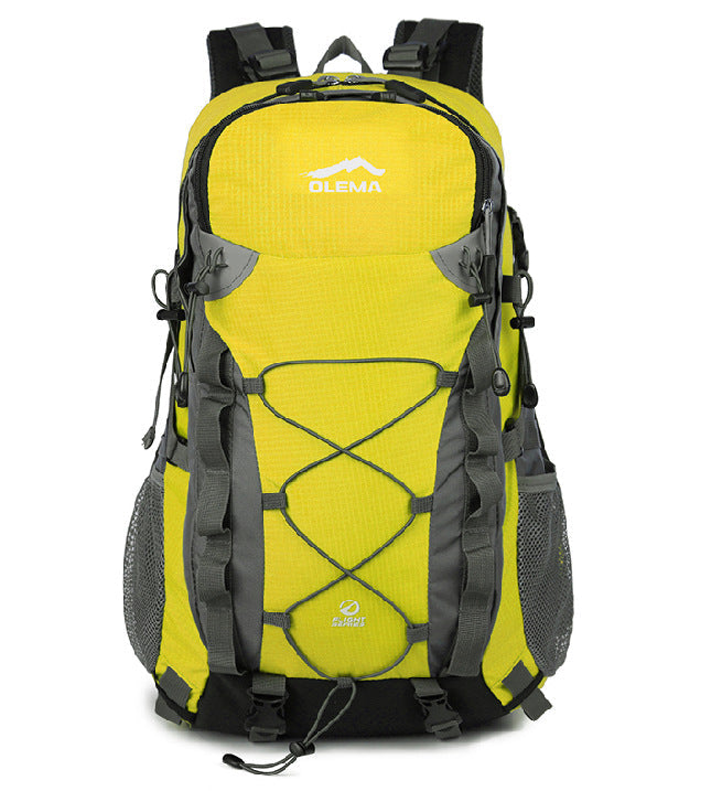 Large-Capacity Water-Resistant Travel Backpack