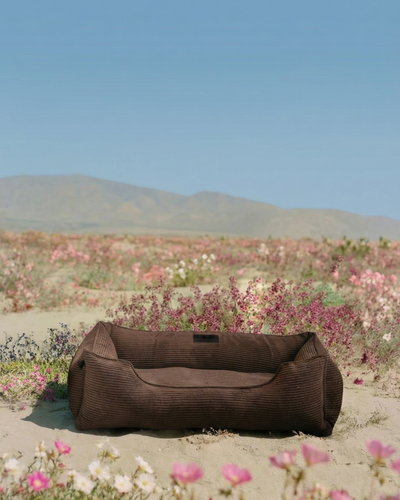 Luxurious Milk Chocolate Orthopedic Dog Bed