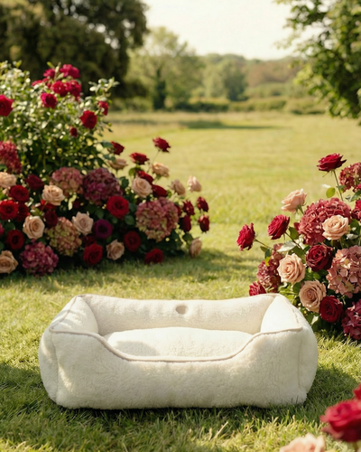 Cozy Cloud Dog Bed in Beige