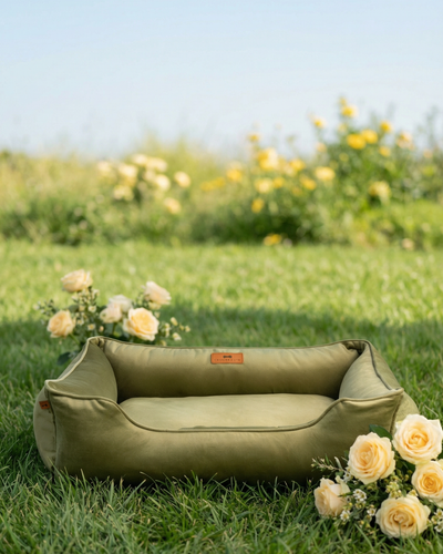 Luxurious Olive Velvet Dog Sleeper Bed