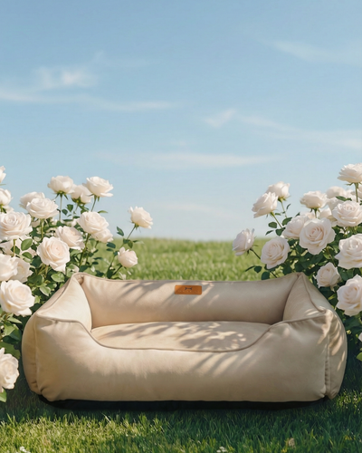 Luxurious Velvet Orthopedic Dog Bed in Beige