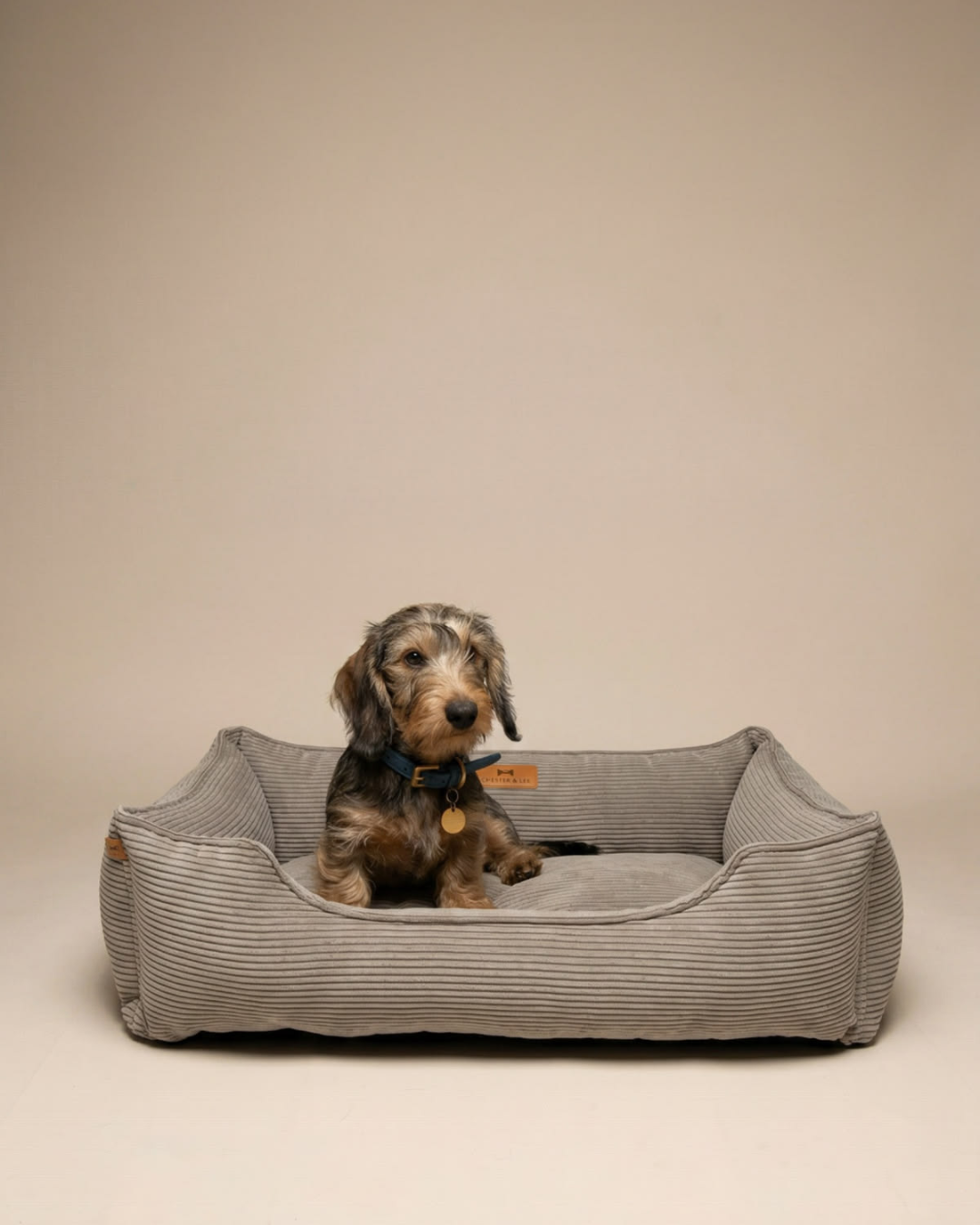 Lit pour chien en velours côtelé taupe luxueux