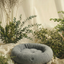 Cozy Cloud Donut Dog Bed for Ultimate Comfort