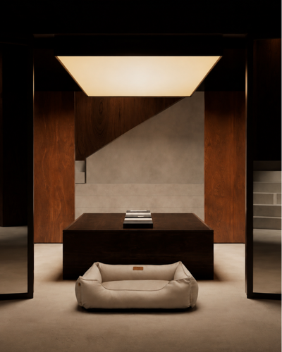 Lit orthopédique en velours luxueux beige