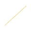 Chaîne Ancre Lite en Or Jaune 14k - 3,00 mm