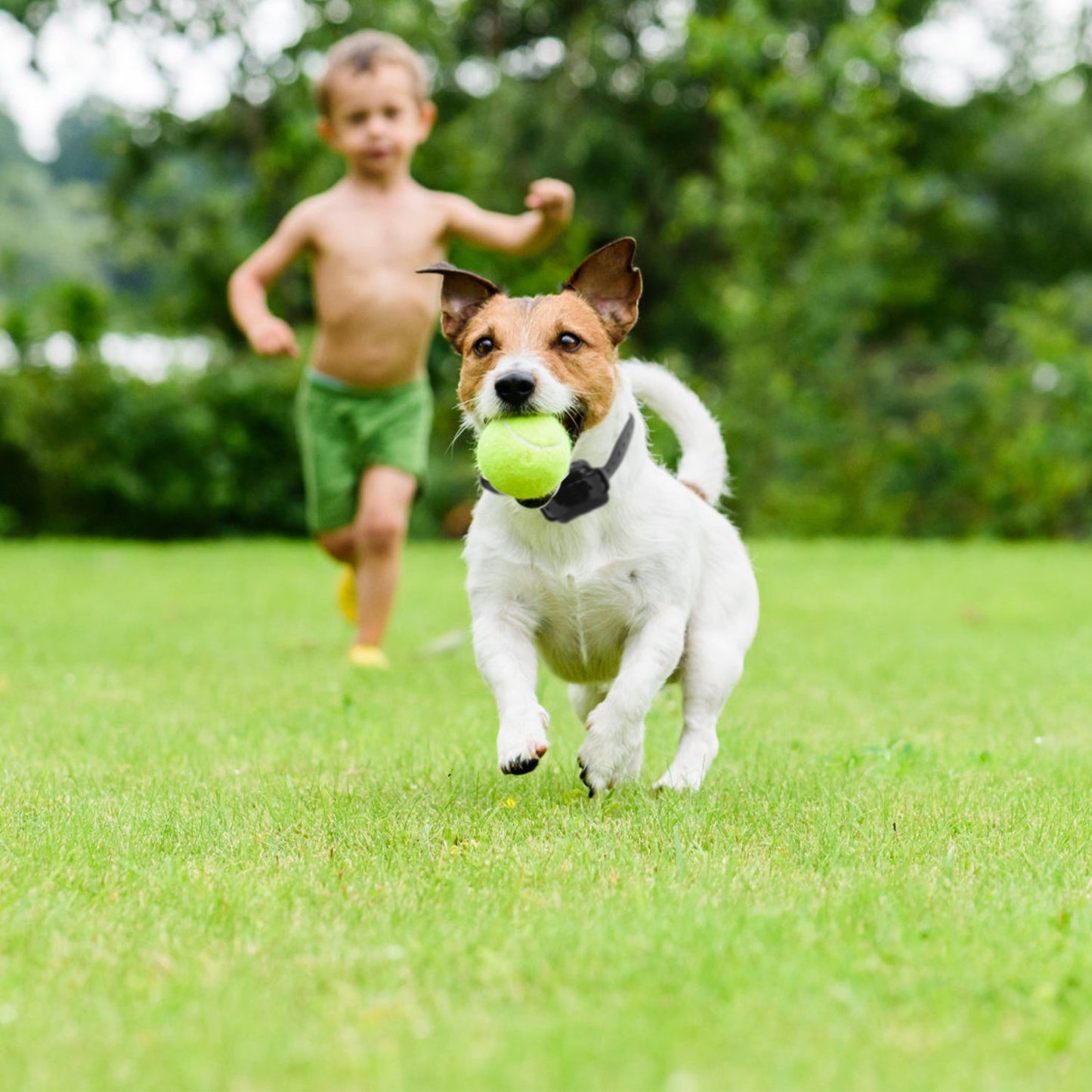 Gbruno Wireless Electric Dog Fence System for All Dog Sizes