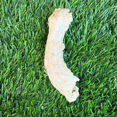 Galleta Premium de Cuello de Pollo Liofilizado para Perros - 1 Cuenta
