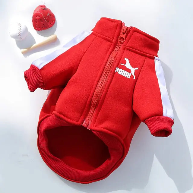 Hoodie de luxe pour chien d'hiver