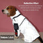 Imperméable Réfléchissant pour Chien pour Toutes les Aventures Météorologiques