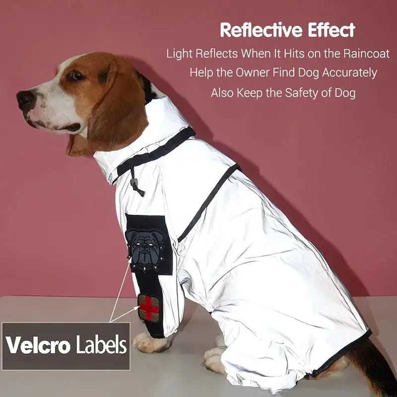 Imperméable Réfléchissant pour Chien pour Toutes les Aventures Météorologiques