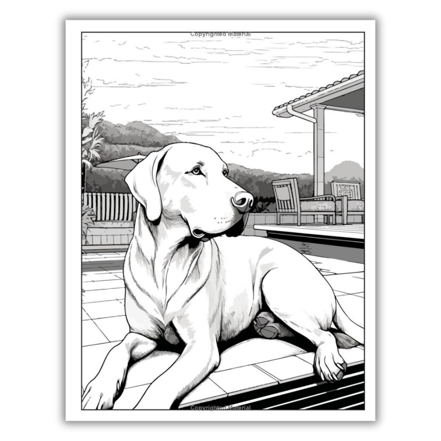101 CALMNESS: Adult Coloring Book (Spiral Bound) - Korvel
