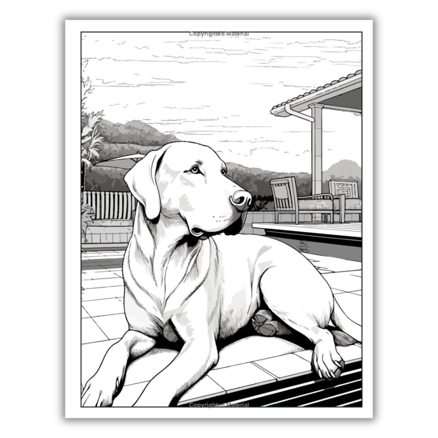 101 CALMNESS: Adult Coloring Book (Spiral Bound) - Korvel