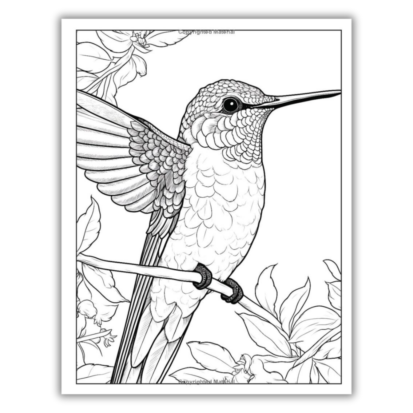 101 CALMNESS: Adult Coloring Book (Spiral Bound) - Korvel