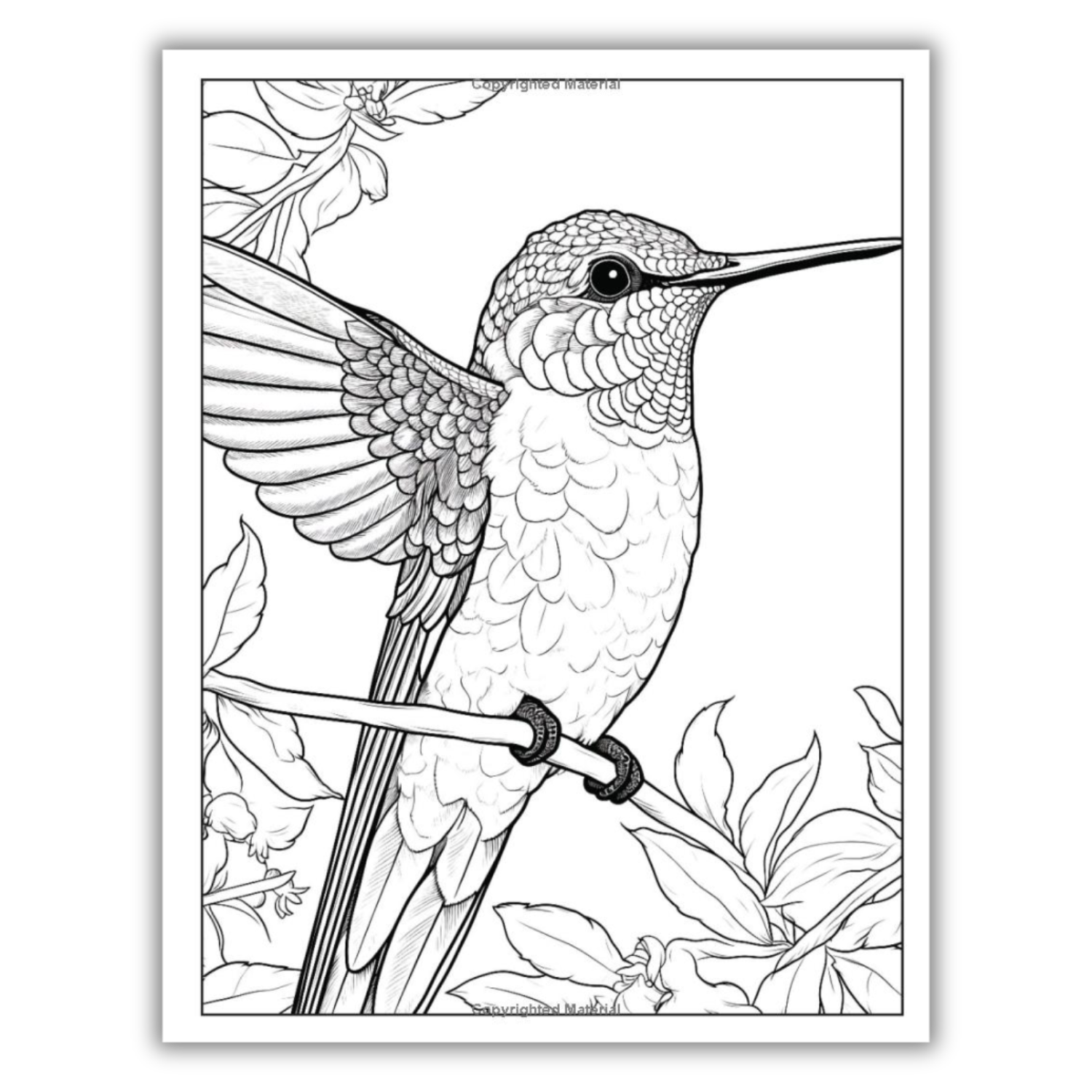 101 CALMNESS: Adult Coloring Book (Spiral Bound) - Korvel