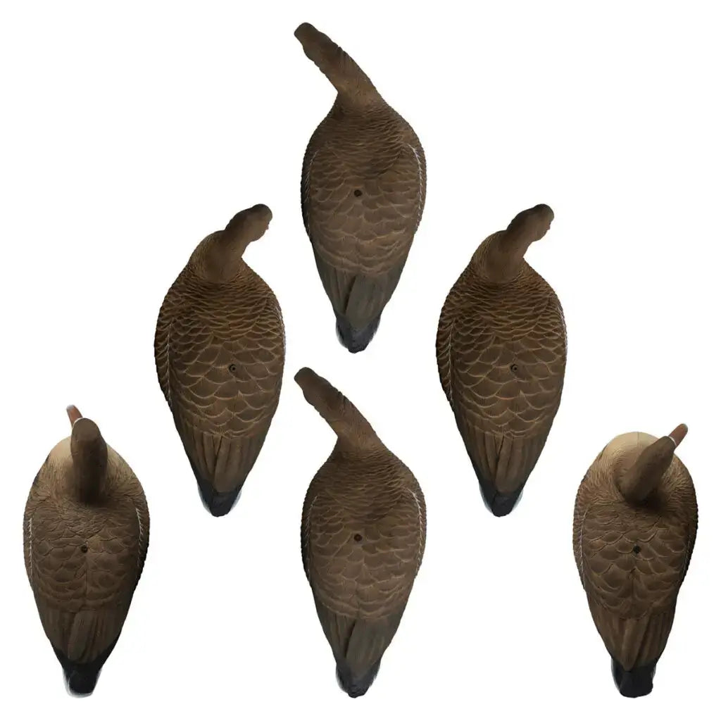 Ultimate Rugged Series Full Body Specklebelly Goose Decoys - 6 Pack - Korvel