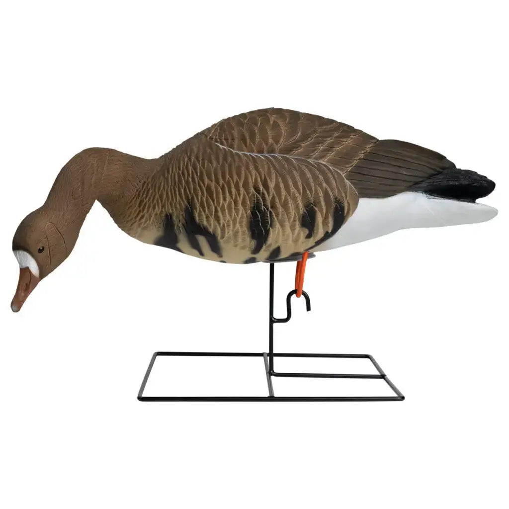 Ultimate Rugged Series Full Body Specklebelly Goose Decoys - 6 Pack - Korvel
