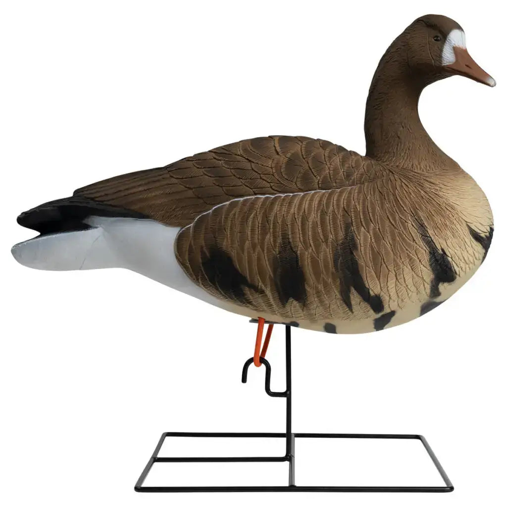 Ultimate Rugged Series Full Body Specklebelly Goose Decoys - 6 Pack - Korvel
